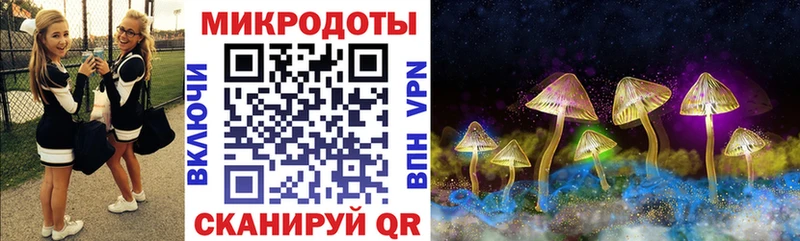 Псилоцибиновые грибы прущие грибы  Купить где  Ивантеевка 